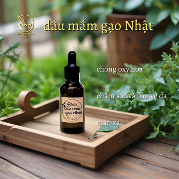 Dầu nền Mầm gạo Nhật 30ml - lọ