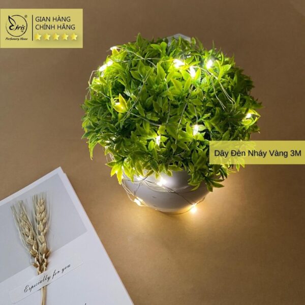 Dây Đèn Nháy Fairy Màu Vàng Dài 3m Trang Trí Decor Bàn Học Vintage Retro Siêu Sáng Đẹp - Hình ảnh 2