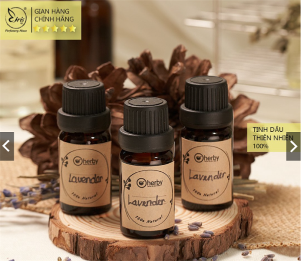 Tinh dầu Lavender (Oải hương) 10ml