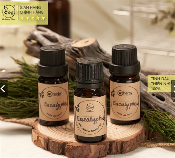Tinh dầu Eucalyptus (Khuynh diệp) 10ml